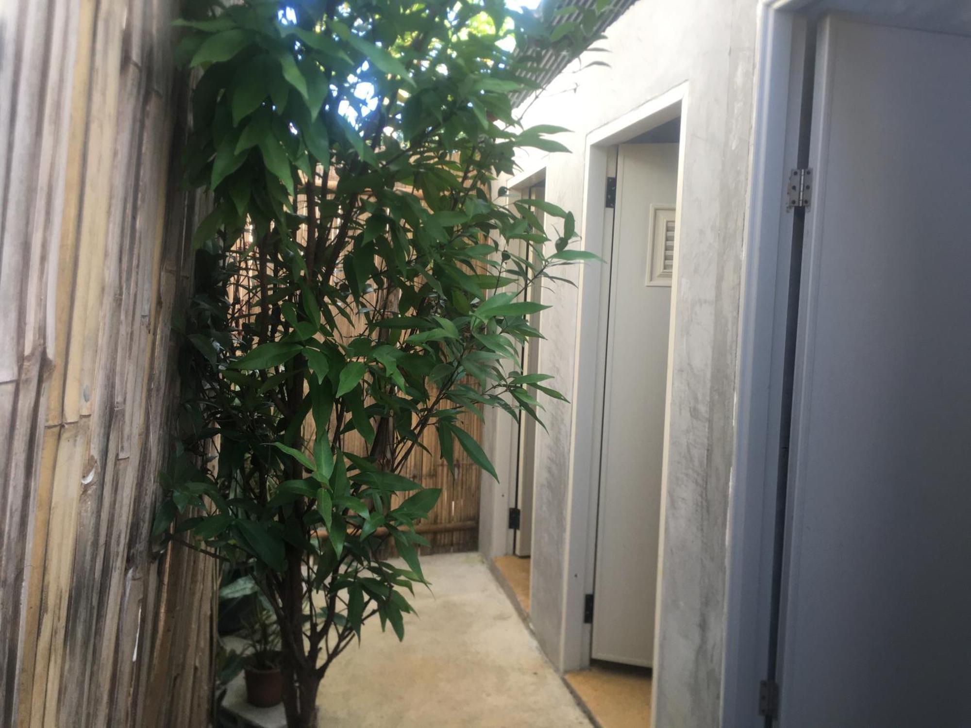 Imchai Pai Exterior photo